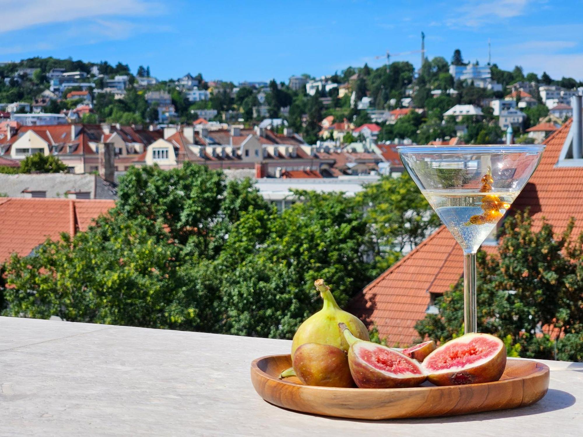 New Design Top-Class Suite Next To The Castle-Free Parking-Terrace Pressburg Exterior foto